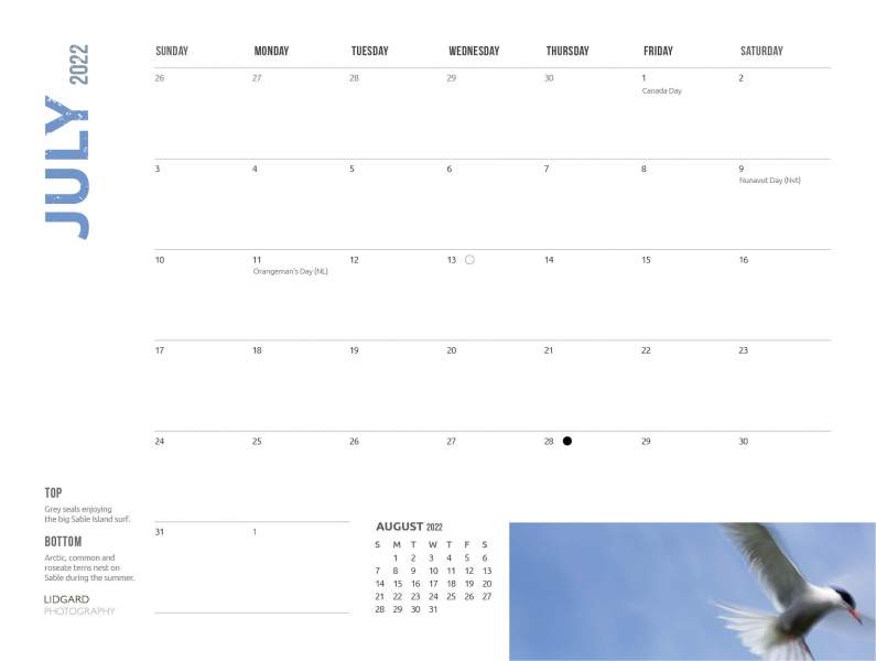 DL-Sable-Calendar-202215