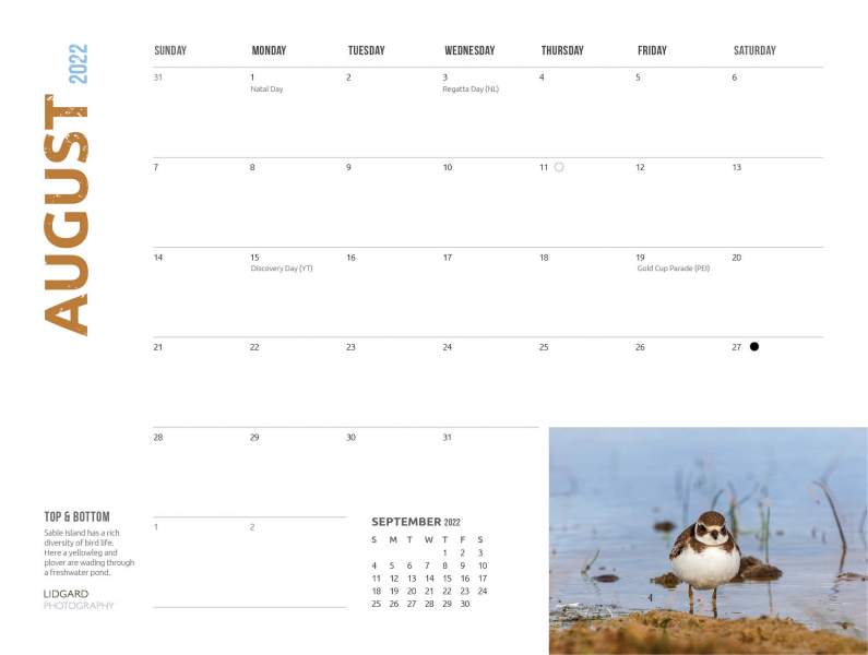 DL-Sable-Calendar-202217