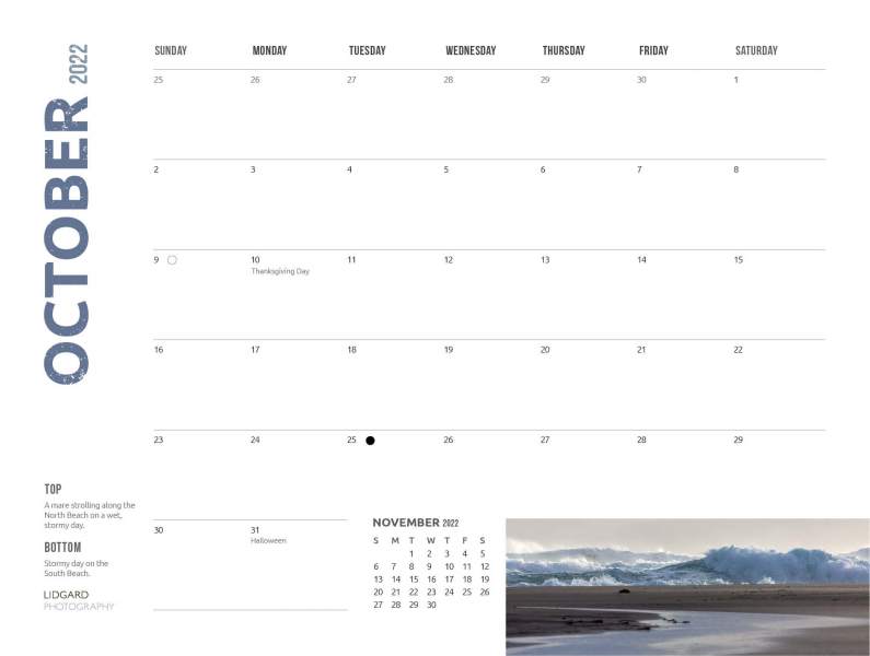 DL-Sable-Calendar-202221
