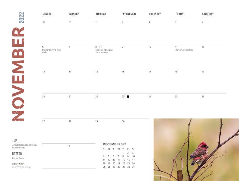 DL-Sable-Calendar-202223