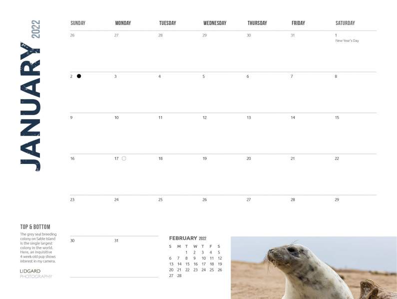DL-Sable-Calendar-20223