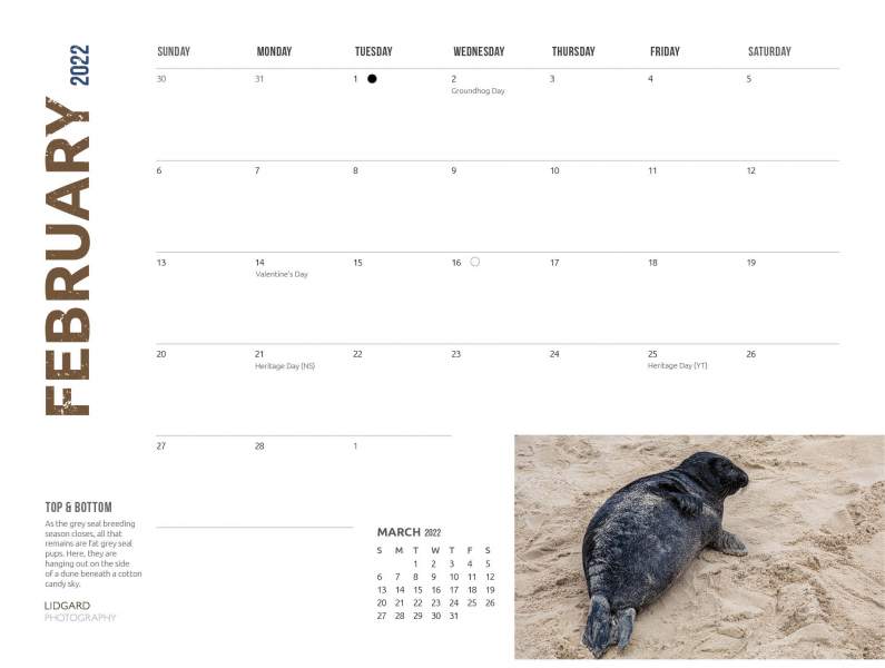 DL-Sable-Calendar-20225