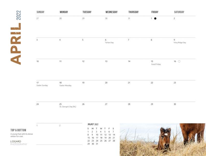 DL-Sable-Calendar-20229