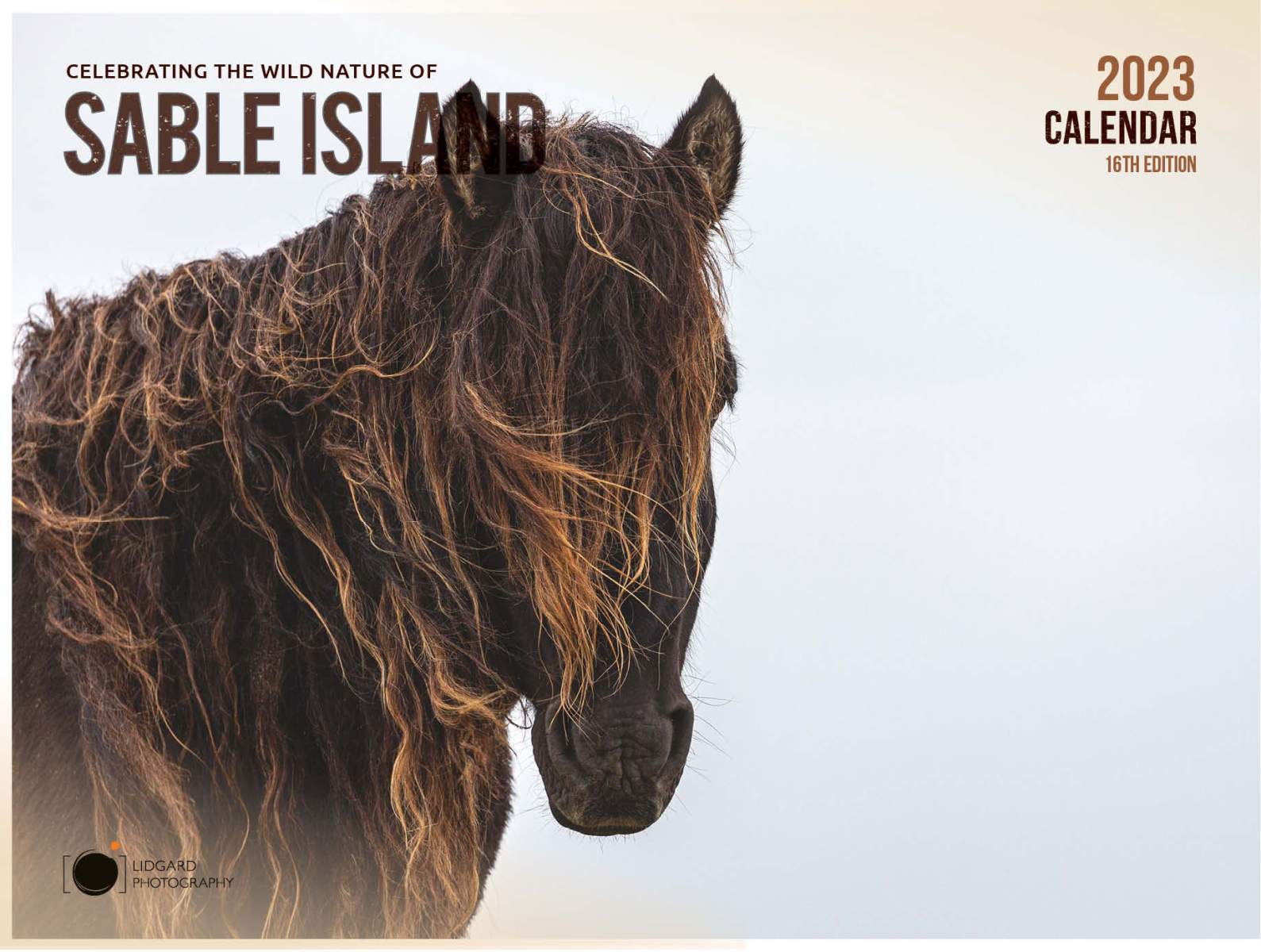 Sable Island 2023 by Damian Lidgard