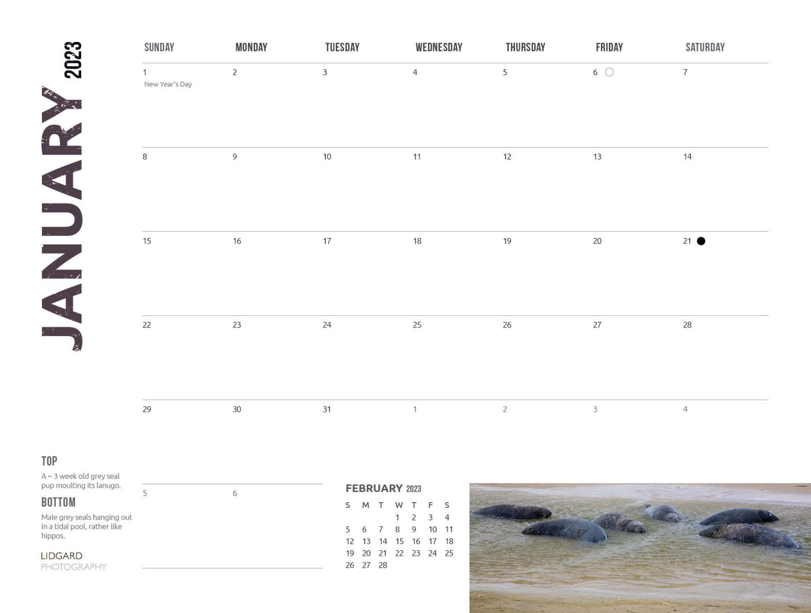 Sable Island 2023 January Dates