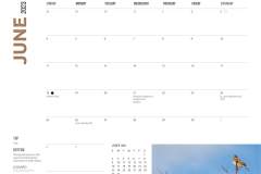 Sable Island 2023 June Dates