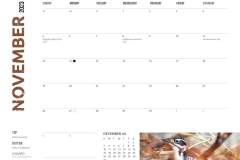 Sable Island 2023 November Dates