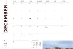 Sable Island 2023 December Dates