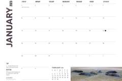 Sable Island 2023 January Dates