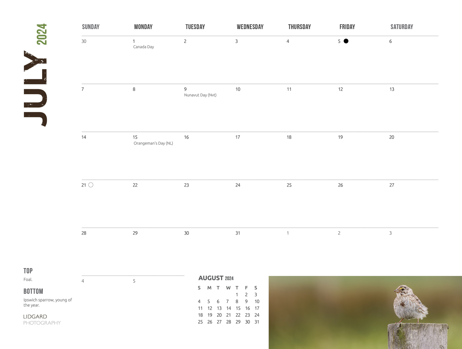 DL-Sable-Calendar-2024-July dates