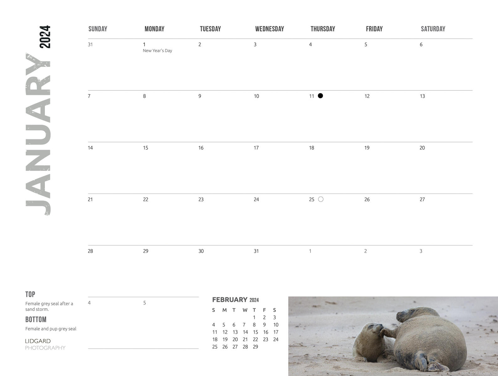 DL-Sable-Calendar-2024-Jan dates