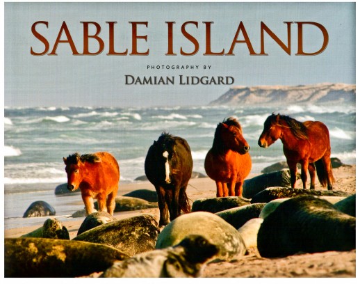 Sable Island: Photography by Damian Lidgard - Hardcover Book Cover