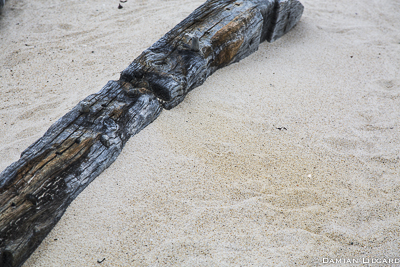 Shipwreck, Sable Island