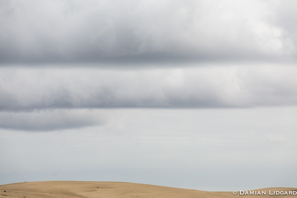 Dune, Sable Island