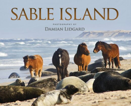 Sable Island: Photography by Damian Lidgard - Hardcover Book Cover